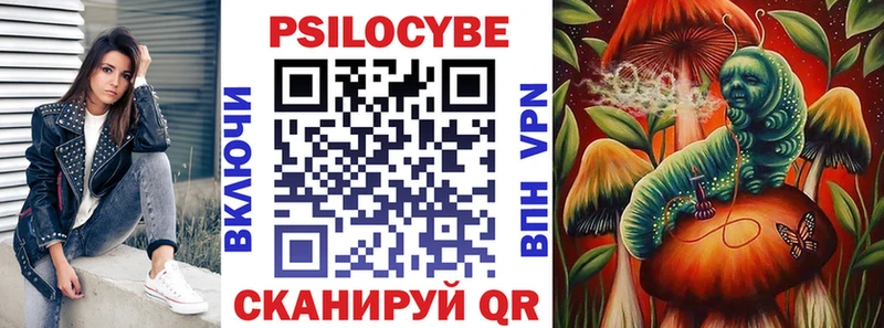 Купить где  Северск  Галлюциногенные грибы Psilocybe 