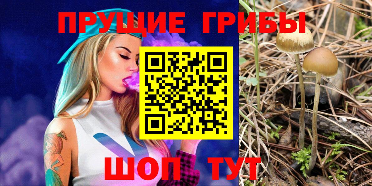 Галлюциногенные грибы Psilocybe  Вход с VPN  Галлюциногенные грибы GOLDEN TEACHER  Северск 