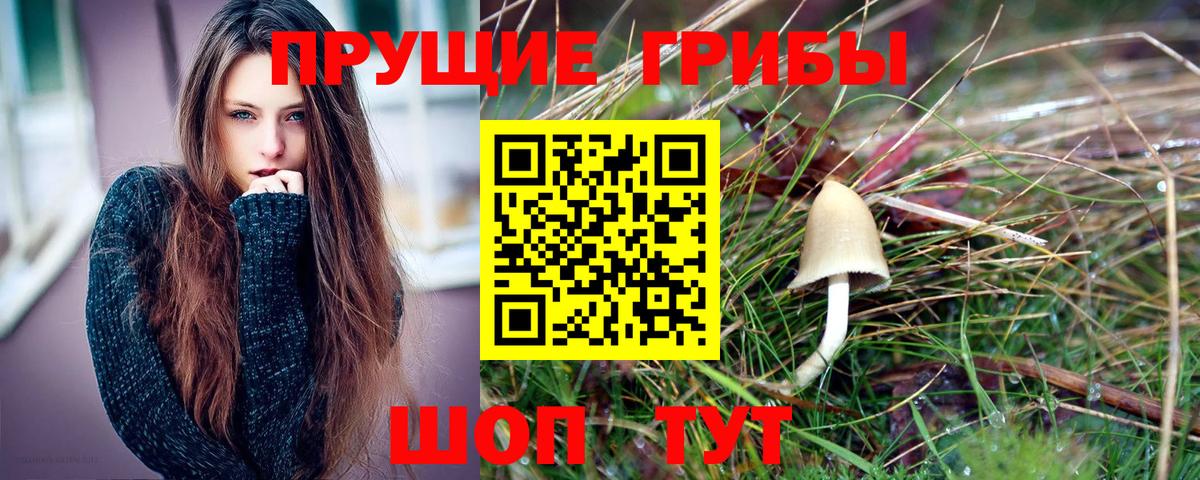 Псилоцибиновые грибы мухоморы Северск