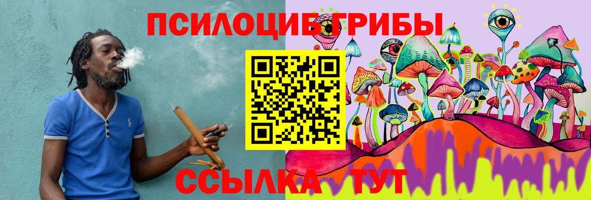 Северск  наркота  Вход с VPN  Галлюциногенные грибы Psilocybine cubensis  Галлюциногенные грибы Psilocybe 