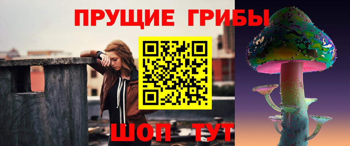 Галлюциногенные грибы Cubensis Северск