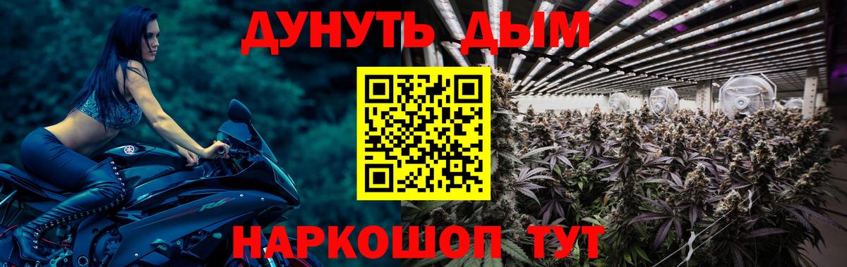 Бошки марихуана THC 21%  Бошки Шишки семена  Северск  Канабис MAZAR  Канабис марихуана  Вход с VPN 